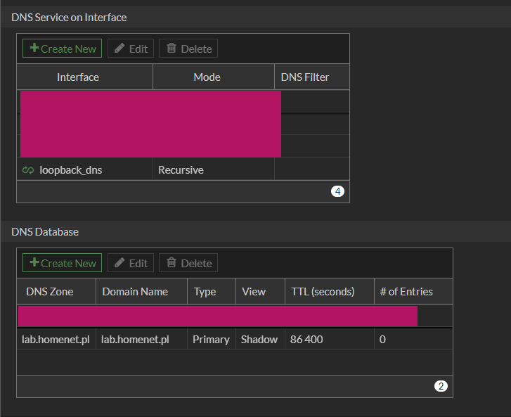 Fortigata level view DNS Service database settings
